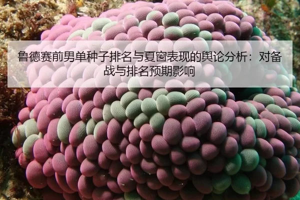 鲁德赛前男单种子排名与夏窗表现的舆论分析：对备战与排名预期影响 | Kaiyun
